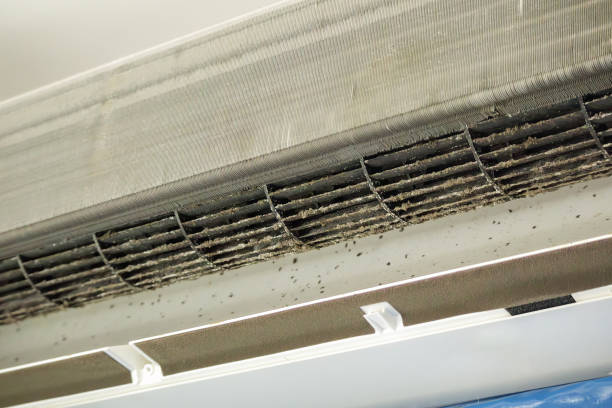 Best Home Air Vent Cleaning  in Meeker, OK